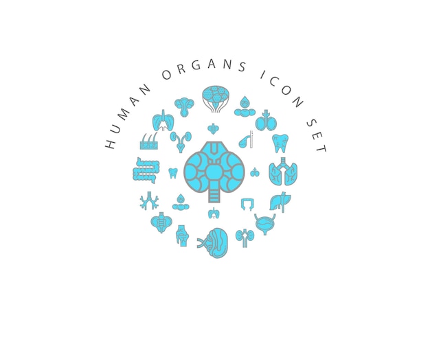 Vector human organs icon set design