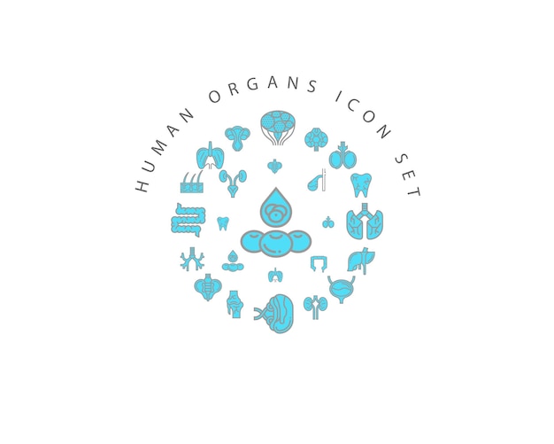 Human organs icon set design