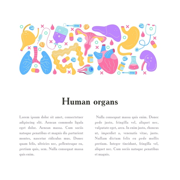 Human organs. A set of vector elements.