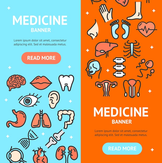 Human organs signs banner vecrtical set vector