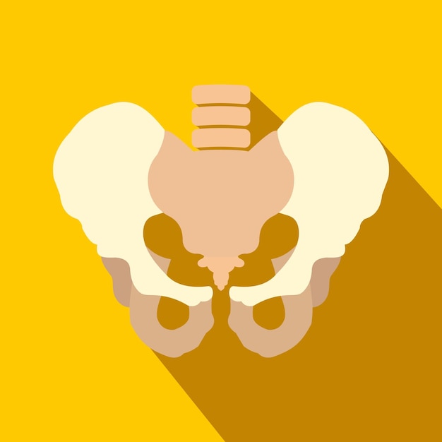 Vector human pelvis flat icon with shadow on a yellow background