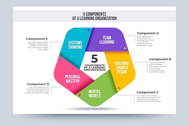 Vector human resource infographic