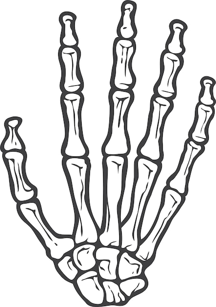 Vector human skeleton hand