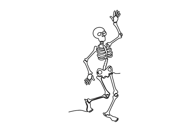 Vector a human skeleton stood human skeleton oneline drawing