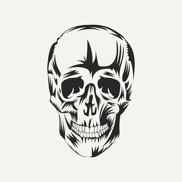 Human skull black and white vector illustration.