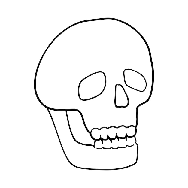 Human skull bone remains doodle cartoon linear