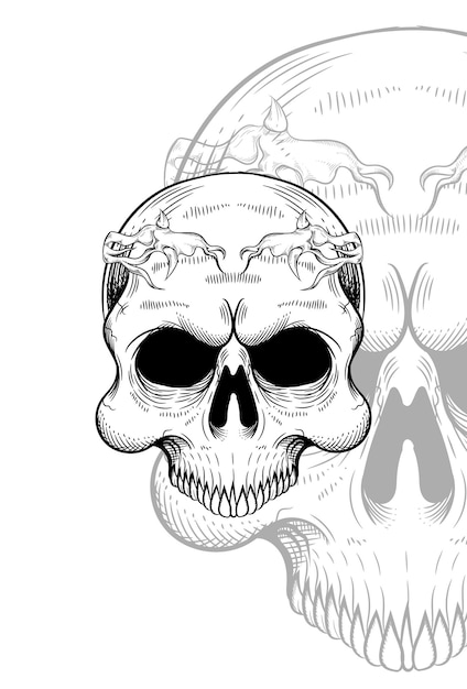 Human skull and headband root artwork illustration