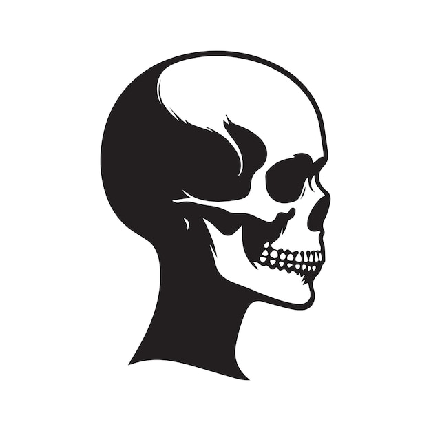 Vector human skull illustration and skull silhouette isolated on a white background
