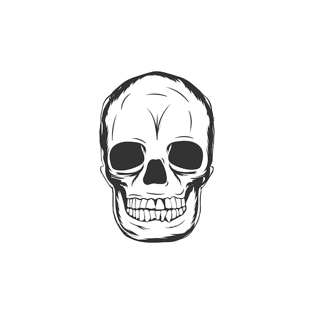 Vector human skull illustration
