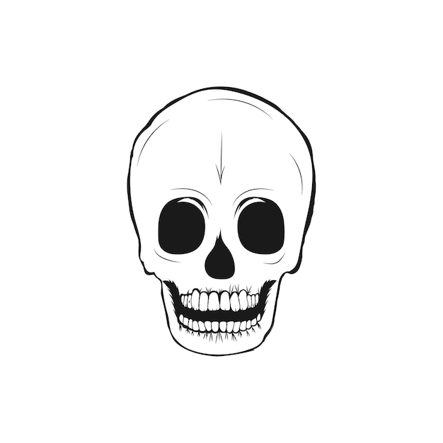 Vector human skull illustration