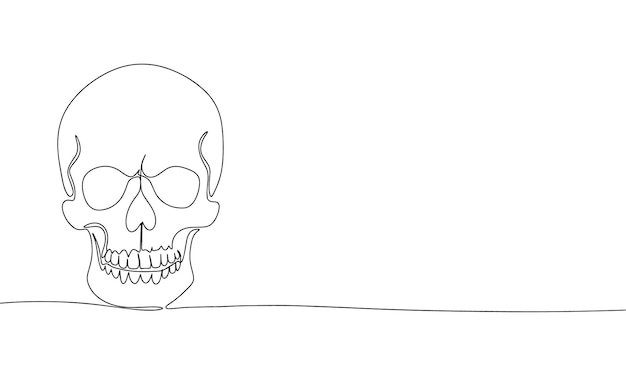 Human skull isolated on white background One line continuous vector illustration Line art outline