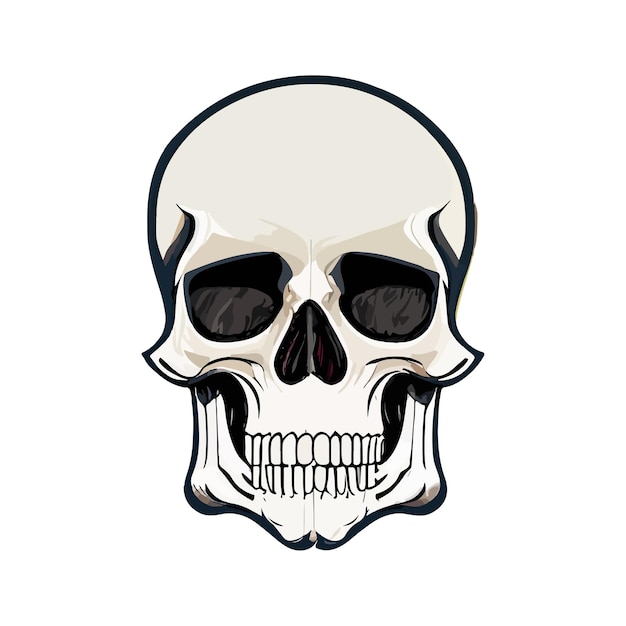 Human Skull realistic vector illustration