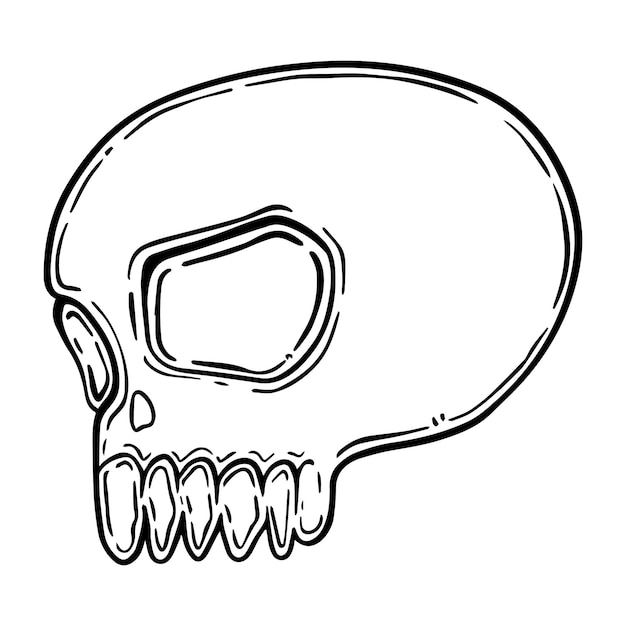 Human skull remains doodle linear