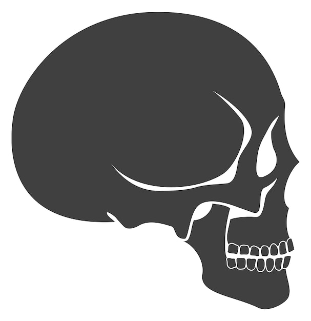 Vector human skull side view head anatomy icon