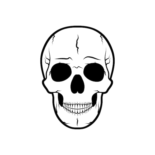 Vector human skull vector illustration