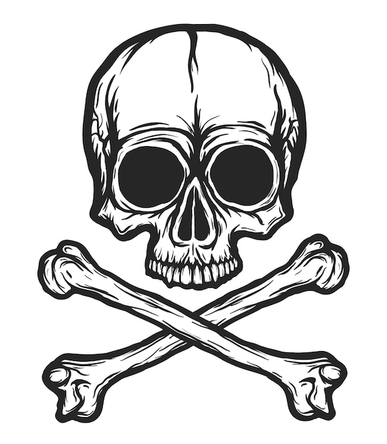 The Art of Skull and Bones