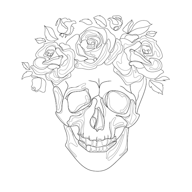 Vector human skull in wreath with flowers roses line art drawing,vector illustration.hand drawn human skull