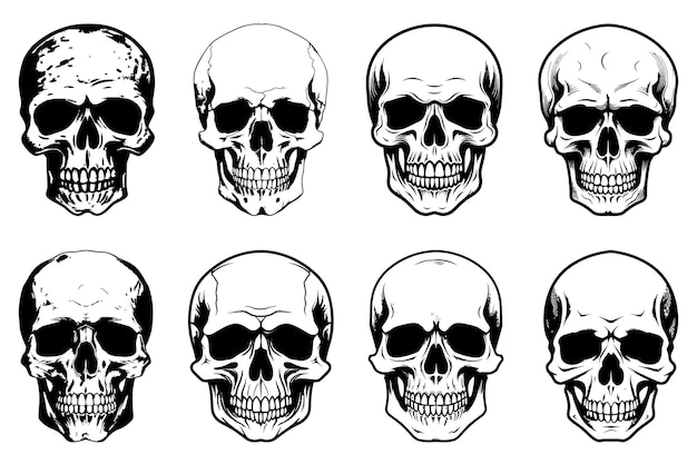 Human skulls set Skull silhouettes Skull icons set Collection of drawings human skulls