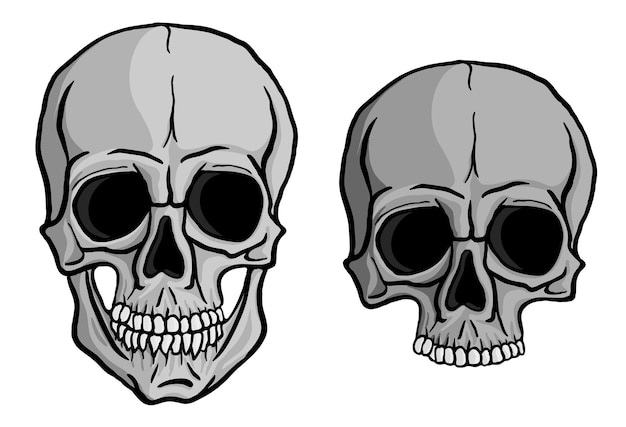 Vector human skulls vector set