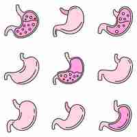 Vector human stomach icons set vector color