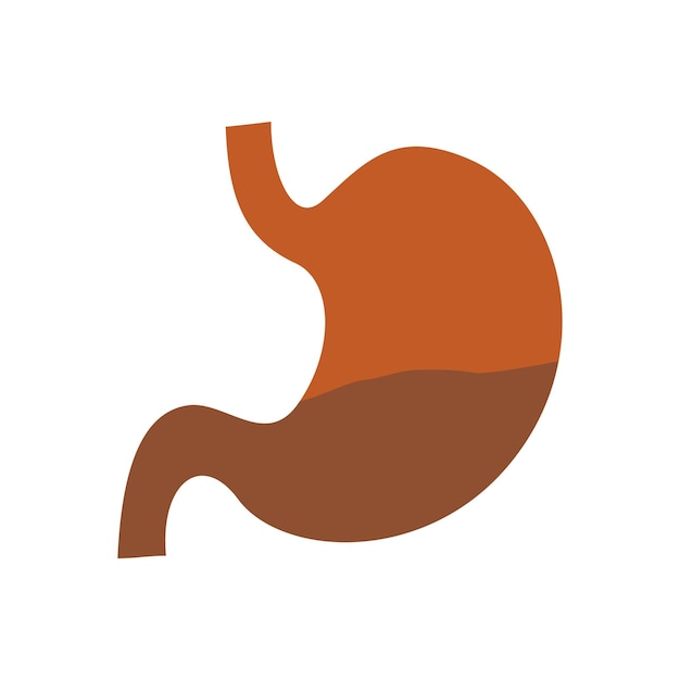 Human stomach medical icon vector