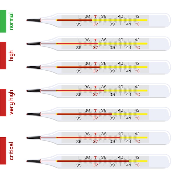 Vector human temperature thermometer set