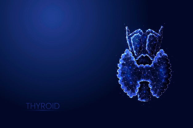 Vector human thyroid gland low poly concept vector illustration