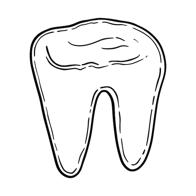 Human tooth with root doodle linear