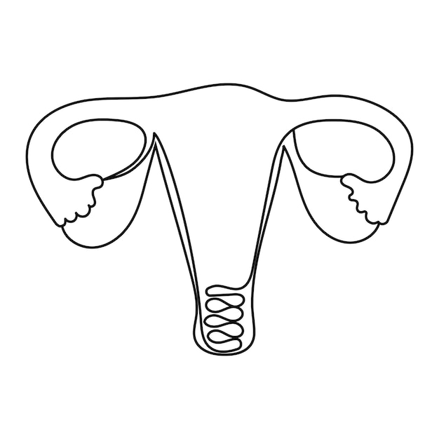 The human uterus is drawn in a continuous line style in one line vector illustration icon