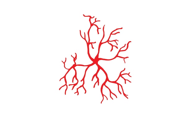 Human Veins and Arteries Illustration