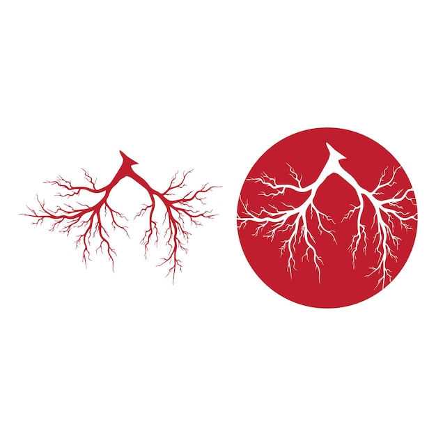 인간의 정맥 붉은 혈관 디자인과 동맥 벡터 일러스트 절연