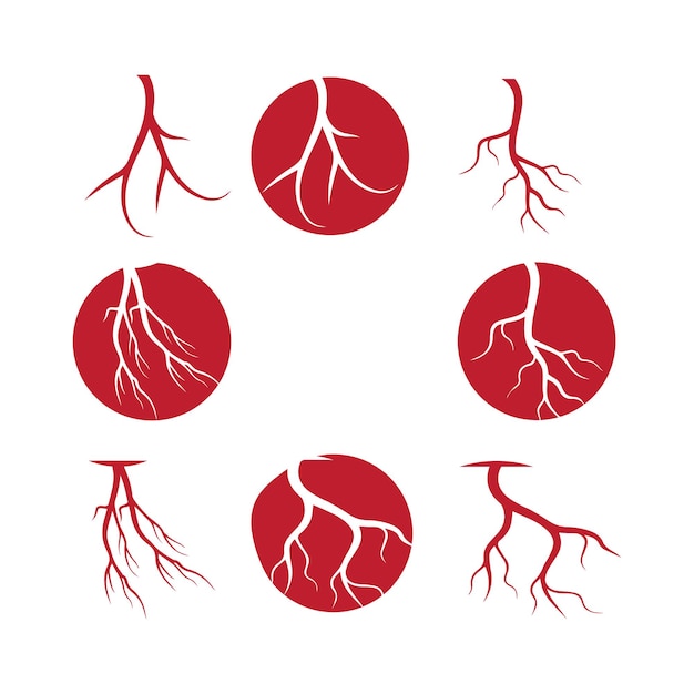 Vector human veins red blood vessels design and arteries vector illustration isolated