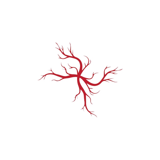 Human veins red blood vessels design and arteries Vector illustration isolated