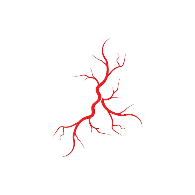 인간의 정맥 붉은 혈관 디자인과 동맥 벡터 일러스트 절연