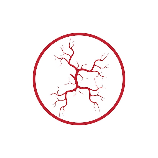 Human veins red blood vessels design and arteries vector illustration isolated