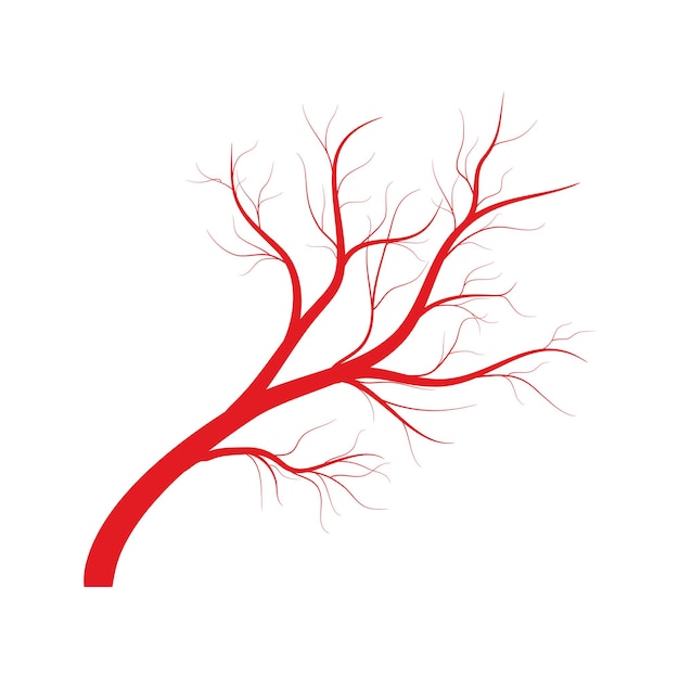 Vector human veins red blood vessels design on white backgroun vector illustration