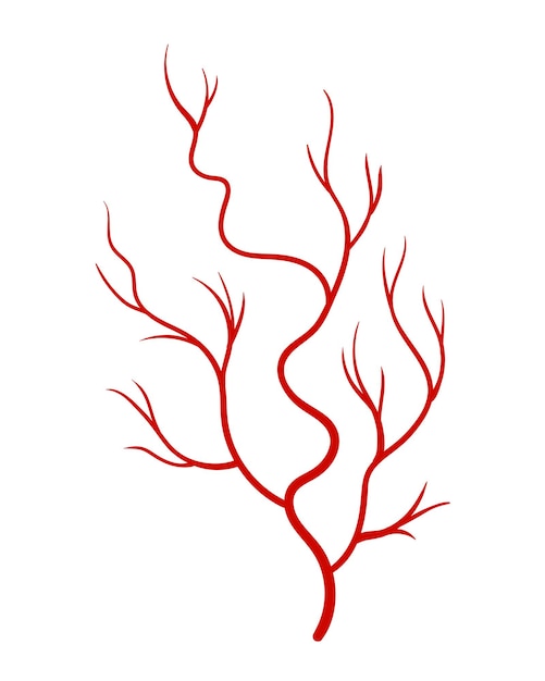 Vector human veins red silhouette vessel arteries or capillaries on white background concept anatomy element for medical science vector isolated symbol of blood system