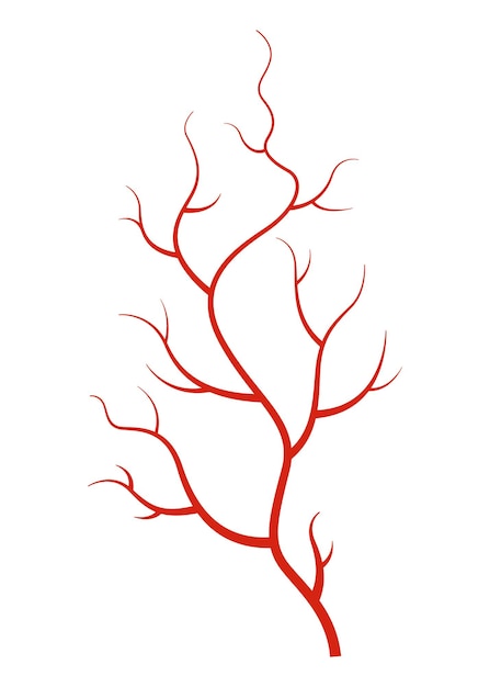 Vettore vene umane arterie o capillari dei vasi con silhouette rossa su sfondo bianco elemento di anatomia concettuale per la scienza medica simbolo vettoriale isolato del sistema sanguigno