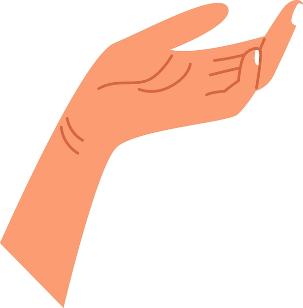 Vector human women hand