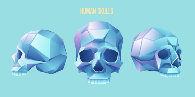 Vector humanskull