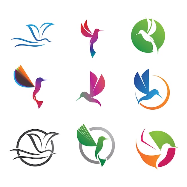 Humingbird logo and symbol vector image