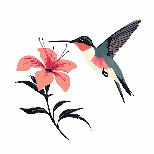 Humming bird and flower 1