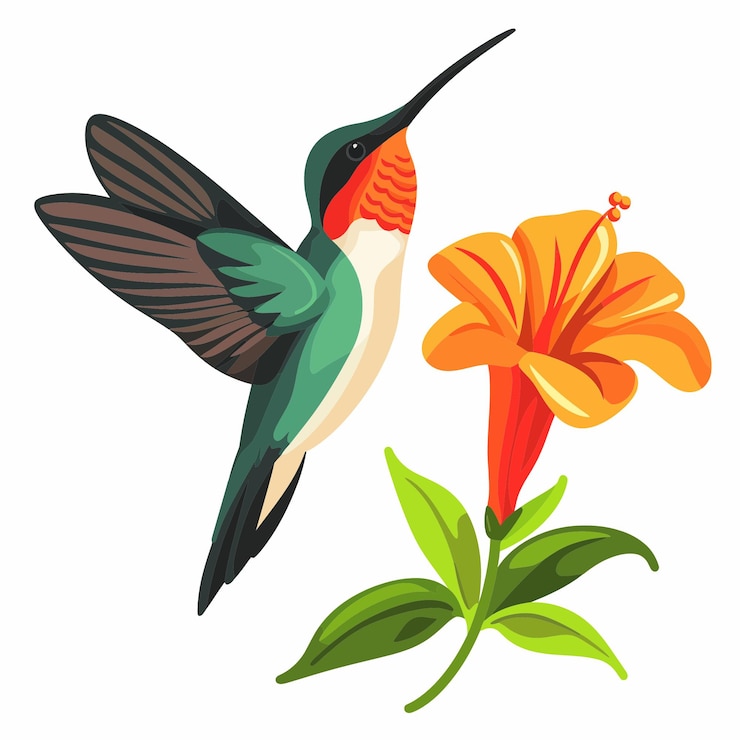 Vector ハミングバードと花4