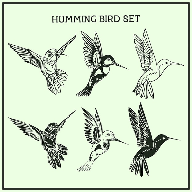 humming bird set