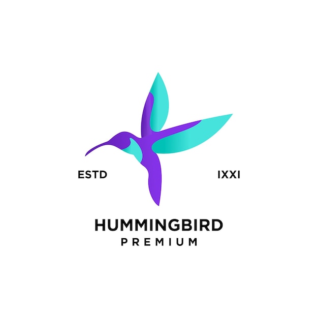 Vector hummingbird color full logo icon design