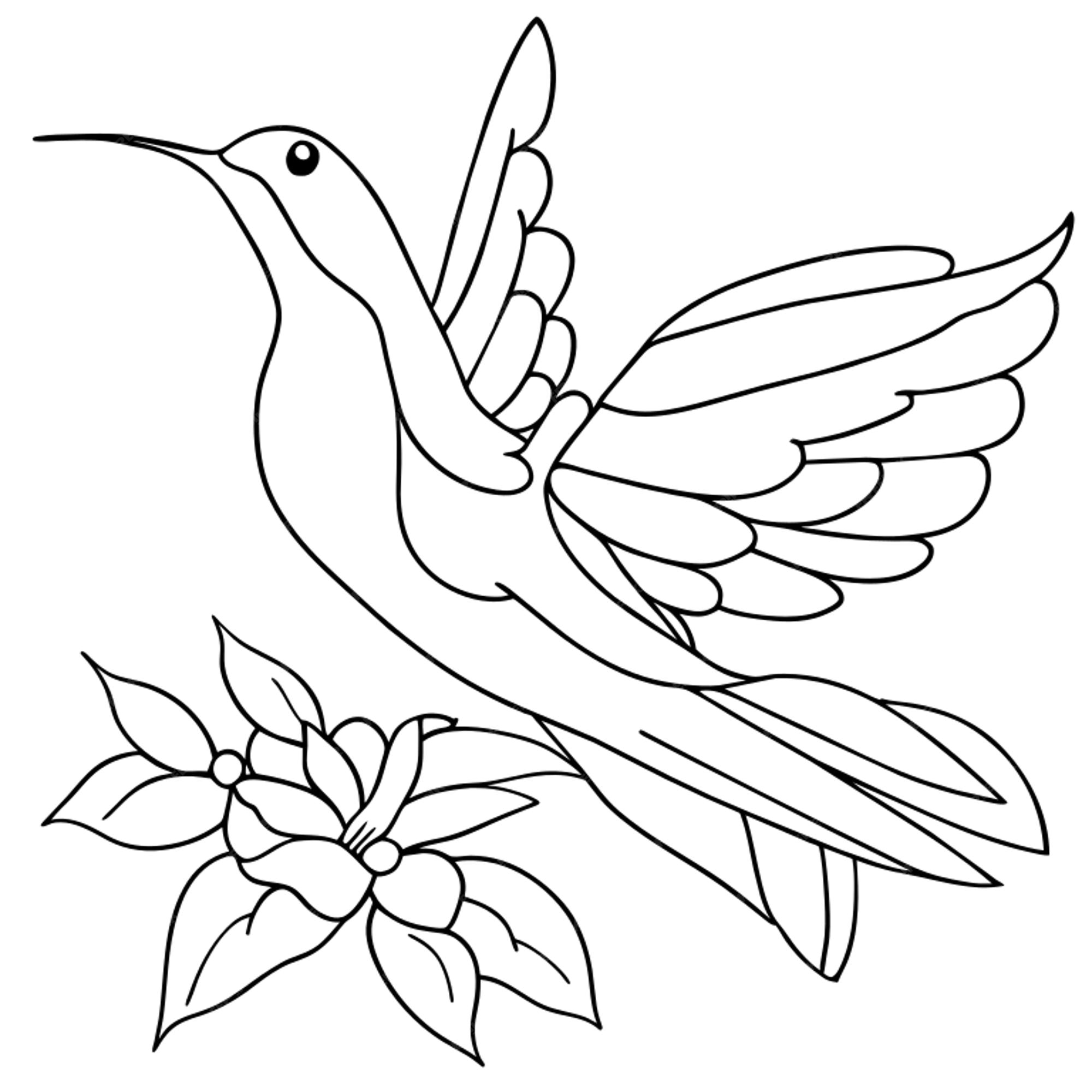 Hummingbird coloring page for kids hummingbird coloring pages opens a