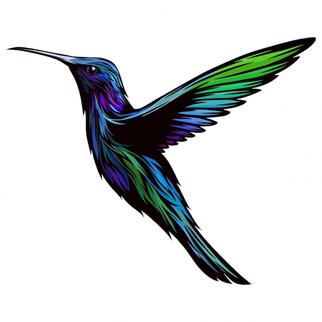 Vettore design colibrì