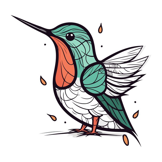 Colibrì illustrazione vettoriale disegnata a mano isolata su sfondo bianco