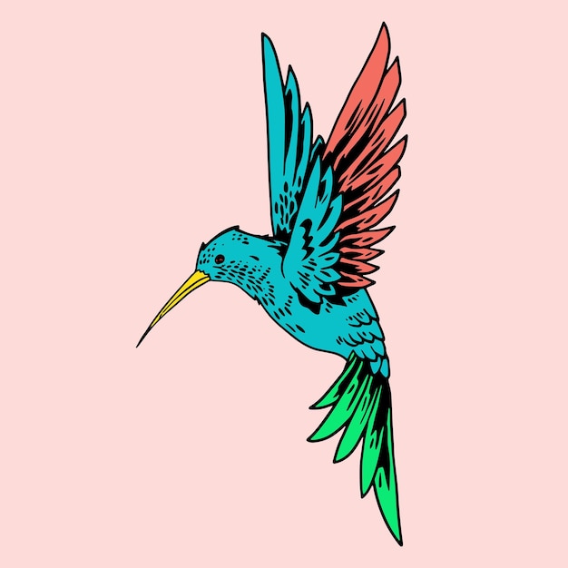 Hummingbird illustration for poster icon and logo