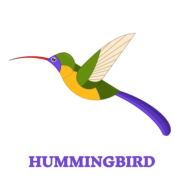 Hummingbird lijn kunst icoon Birdwatching populaire vogel collectie Platte stijl ontwerp exotische kolibri Geometrische eenvoudige vorm lineaire hummingbird pictogram